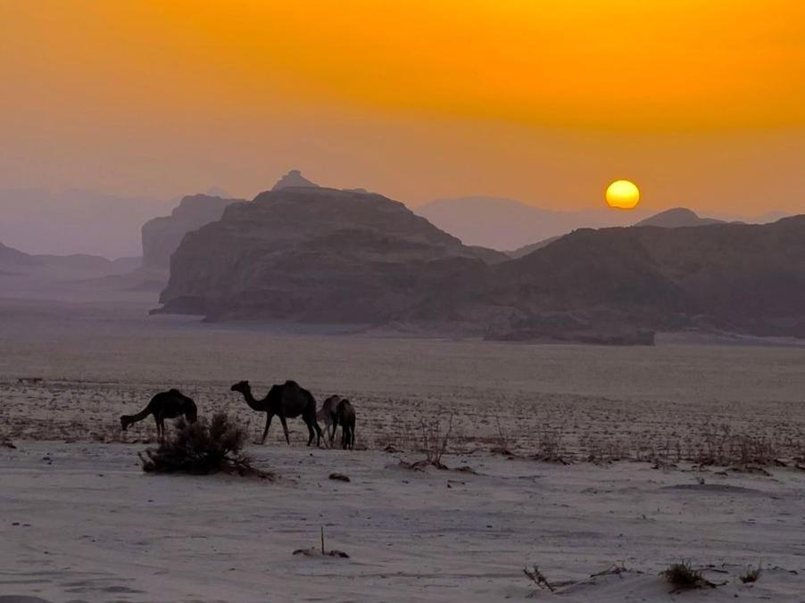 White Desert Camp Wadi Rum Zewnętrze zdjęcie