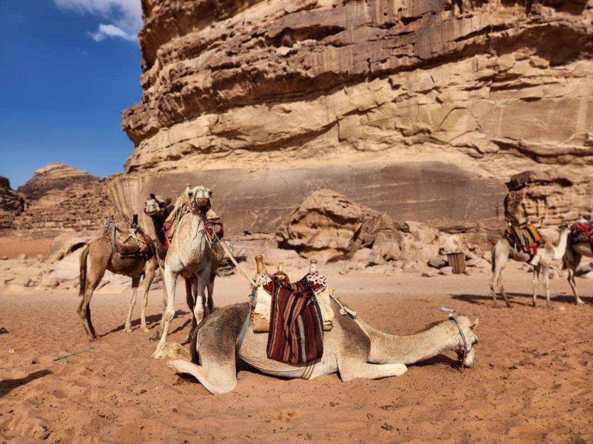 White Desert Camp Wadi Rum Zewnętrze zdjęcie