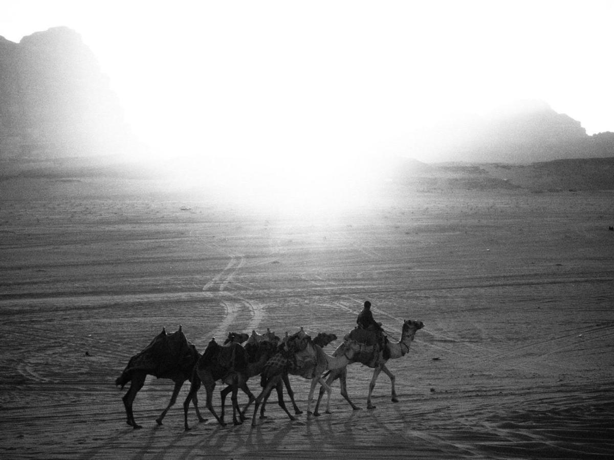 White Desert Camp Wadi Rum Zewnętrze zdjęcie